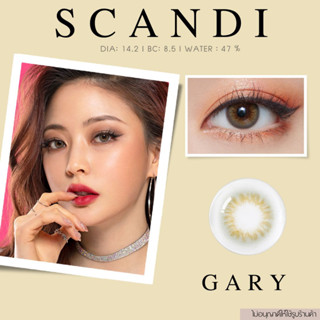 คอนแทคเลนส์ Scandi  Gary✨ ยี่ห้อ GAEZZ ; Color Gary ( ค่าสายตา 50 -1000 )