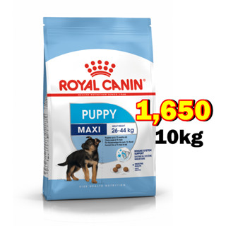 Royal canin Maxi puppy 10kg ลูกสุนัขพันธุ์ใหญ่ อายุ 2-15เดือน Exp:05/2024