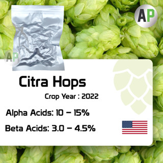 Citra Hops Pellets T-90 ฮอปส์ เพลลิท ทำเบียร์​ Homebrew Crop Year 2022 1oz [ Yakima Chief Hops ]