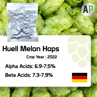 Huell Melon Hops Pellets T-90 ฮอปส์ เพลลิท ทำเบียร์​ Homebrew Crop Year 2022 1oz [ Barth Haas ]