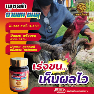 สตองโกลด์ ถ่ายขนชนดุ ผลิตภัณฑ์สำหรับบำรุงขนไก่ บรรจุ 60 เม็ด 120 กรัม