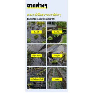 ผ้าคลุมดินพลาสติกหนา ป้องกันวัชพืช หลายขนาดให้เลือก สำหรับสวนเกษตรกลางแจ้ง