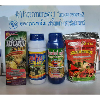 ชุดอาหารพ่นเร่งใบแก่,สะสมตาดอก(เอ็มม่า+เอฟวันสะสมดอก+อีสเฟอร์0-27-35+สี่สะหาย6-32-32)สะสมอาหาร 5.6 กก.