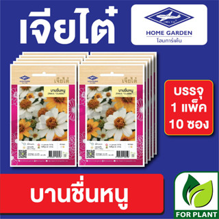 เมล็ดพันธุ์ ดอกไม้ เจียไต๋ CT25 บานชื่นหนู บรรจุแพ็คล่ะ 10 ซอง ราคา 160 บาท