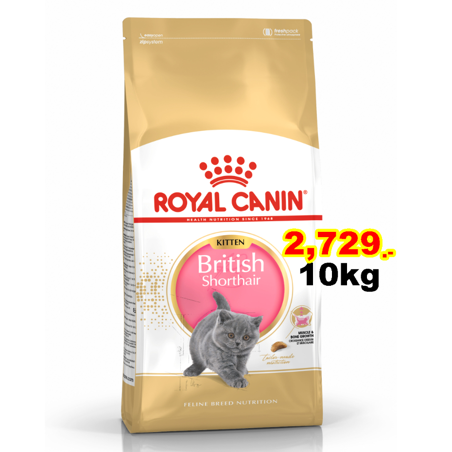 Royal canin british shorthair kitten 10 kg ลูกแมว พันธุ์บริติช ชอร์ตแฮร์ 10กก.Exp:8/2025