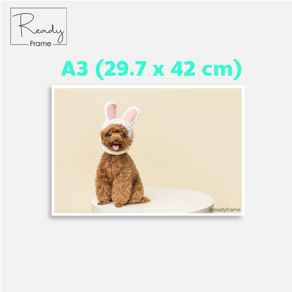 อัดรูป ปริ้นรูป ล้างรูป A3 29.7x42CM(1ใบ) อัดรูปคุณภาพพรีเมี่ยม **กรุณาอ่านรายละเอียดก่อนสั่งซื้อ**