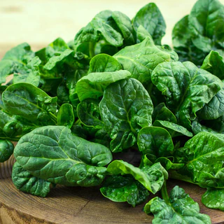 เมล็ดพันธุ์ สปินิส ปวยเล้ง บลูมเดล Bloomdale Spinach Seed 200 เมล็ด ของแท้ เมล็ดพันธุ์พืช เมล็ดพันธุ์ผัก
