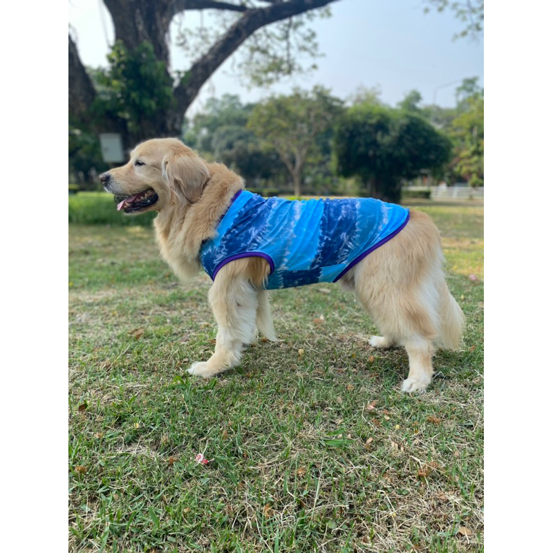 เสื้อสุนัขขนาดใหญ่  เสื้อกล้ามสุนัข เนื้อผ้านุ่มสีไม่ตก สำหรับน้ำหนัก10-45กก.