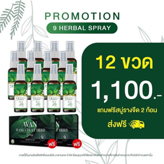 ของแท้ ‼️ สเปรย์สมุนไพร สำหรับโรคผิวหนัง สะเก็ดเงิน สะเก็ดทอง กลากเกลื้อน เชื้อรา แก้อักเสบ ผื่นแพ้ คันลมพิษ