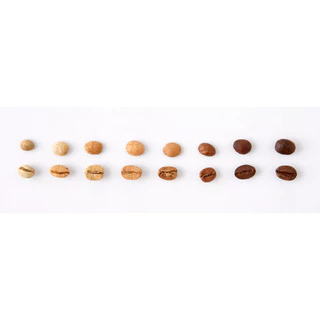 Roast.Lab.BKK เมล็ดกาแฟดอยช้าง Doi Chang เกรด AA เชียงราย washed process คั่วใหม่ทุกๆออร์เดอร์