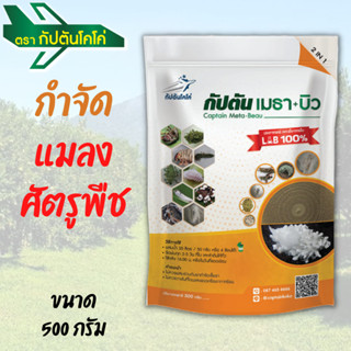 ✅ เชื้อราบิวเวอร์เรีย + เชื้อราเมธาไรเซียม แบบผง ✅ ป้องกันกำจัดหนอนและแมลง ✅ (500กรัม)