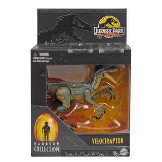 Mattel Jurassic World Hammond Collection Male Velociraptor
