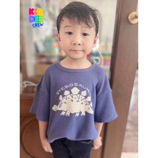 KiddeeCrew เสื้อเด็กแขนสั้นสีน้ำเงินฟ้าไดโนเสาร์ เป็นผ้าวาฟเฟิล เหมาะสำหรับอายุ 1-14 ปี