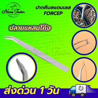 ปากคีบ คีมหนีบเส้นด้าย ที่หนีบด้าย ปลายงอ ปลายตรง แหนบสแตนเลส Forcep แหนบหนีบหนามแคนตัส คีบหนีบต้นไม้