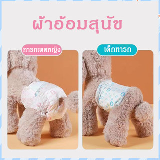 Hot Sale！！！ผ้าอ้อมขนาดต่างๆ ผ้าอ้อมสุนัขขนาดเล็ก ผ้าอ้อมสุนัขตัวเมีย ผ้าอ้อมสุนัข ผ้าอ้อมสัตว์เลี้ยงราคาถูก ผ้าอ้อมแมว