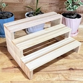 ที่วางกระถางต้นไม้ 3ชั้น แบบซี่ แคคตัส ต้นกระบองเพชร ต้นไม้ด…