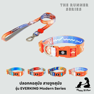 ปลอกคอสุนัขและแมว สายจูง ปลอกคอแมว ปลอกคอหมาใหญ่ Dog Collar and Leash EVERKING The Runner Series - Modern 1