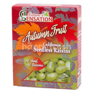 Nature sensation seedless Raisins 130g. จากอเมริกา🇺🇸