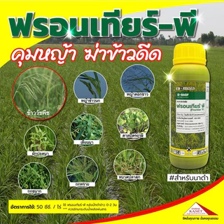 ฟรอนเทียร์ พี 500 cc. (ของแท้)( ไดเมทีนามิด-พี ) คุมหญ้า ฆ่าข้าวดีด หมักหญ้า หมักข้าวดีด ดอกขาว กก