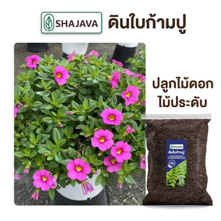 SHAJAVA ดินใบก้ามปู ปริมาณ 1 Kg ดิน ดินพร้อมปลูก ดินก้ามปู