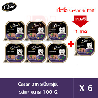 (แถมฟรี 1 ถาด)Cesar อาหารเปียกสุนัข โตเต็มวัย รสแกะ ขนาด 100g. (x6 ถาด)