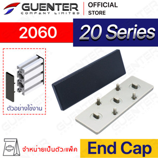 End Cap 2060 – 20 Series (จำหน่ายแบบตัว/แพ็ค) ฝาปิดสำหรับอลูมิเนียมโปรไฟล์ขนาด 20×60 มีให้เลือก 2 สี ดำและเทา [ASA-26]