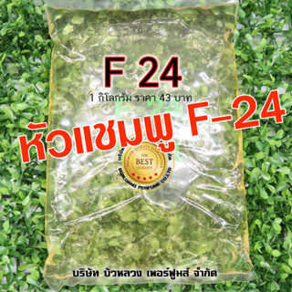 หัวแชมพู F24 หัวแชมพู สารขจัดคราบมัน น้ำยาล้างจาน