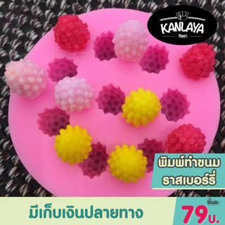 พิมพ์ซิลิโคน ราสเบอรี่   SKU : 200057