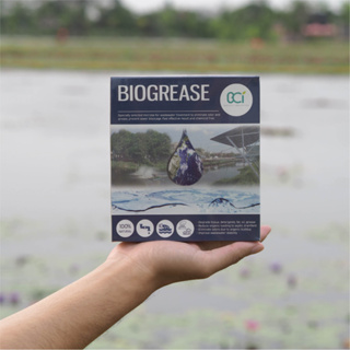 BIOGREASE จุลินทรีย์คัดสายพันธุ์สำหรับบำบัดน้ำเสีย ย่อยสลายไขมัน ปรับค่าน้ำ และกำจัดกลิ่นเหม็น