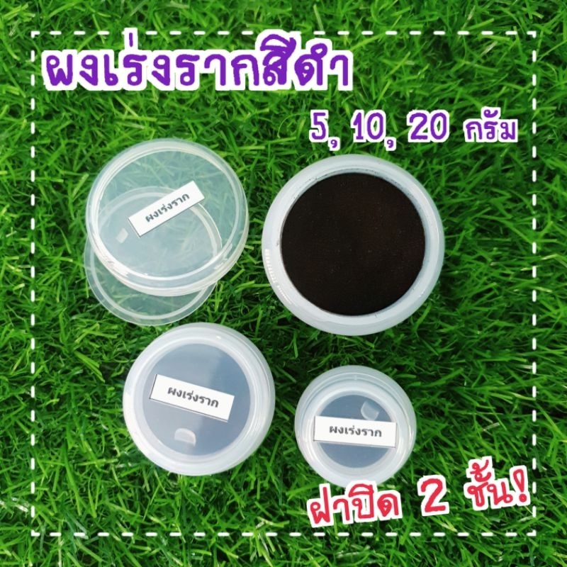 ผงเร่งรากสีดำ ล่อรากชำหน่อช่วยบำรุงราก❗ ผงทาแผลแคคตัส ชนิดละเอียด 🔥ใช้ได้กับไม้ทุกชนิด