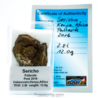 อุกกาบาต หินผสมเหล็ก SERICHO - Pallasite ชิ้นเล็ก พร้อมใบรับรอง จาก Germany #6 หนัก 12g