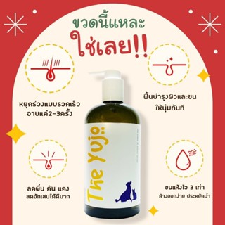 Theyujo shampoo ขวดใหญ่  500mldog and cat สุนัข - แมว แก้ขนร่วง 3ครั้ง นุ่มสวย ป้องกัน เชื้อรา แก้คัน ผื่นแดง เห็บหมัด