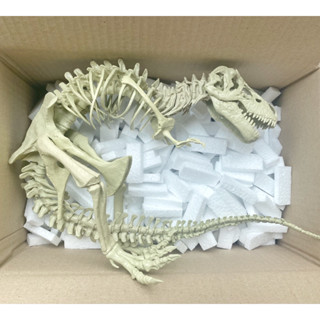 🦖 โมเดลสำหรับจัดทำเลเอาท์ 🦖 ประกอบสำเร็จรูปพร้อมลงตู้ เหมาะกับตู้ 18 นิ้วขึ้นไป