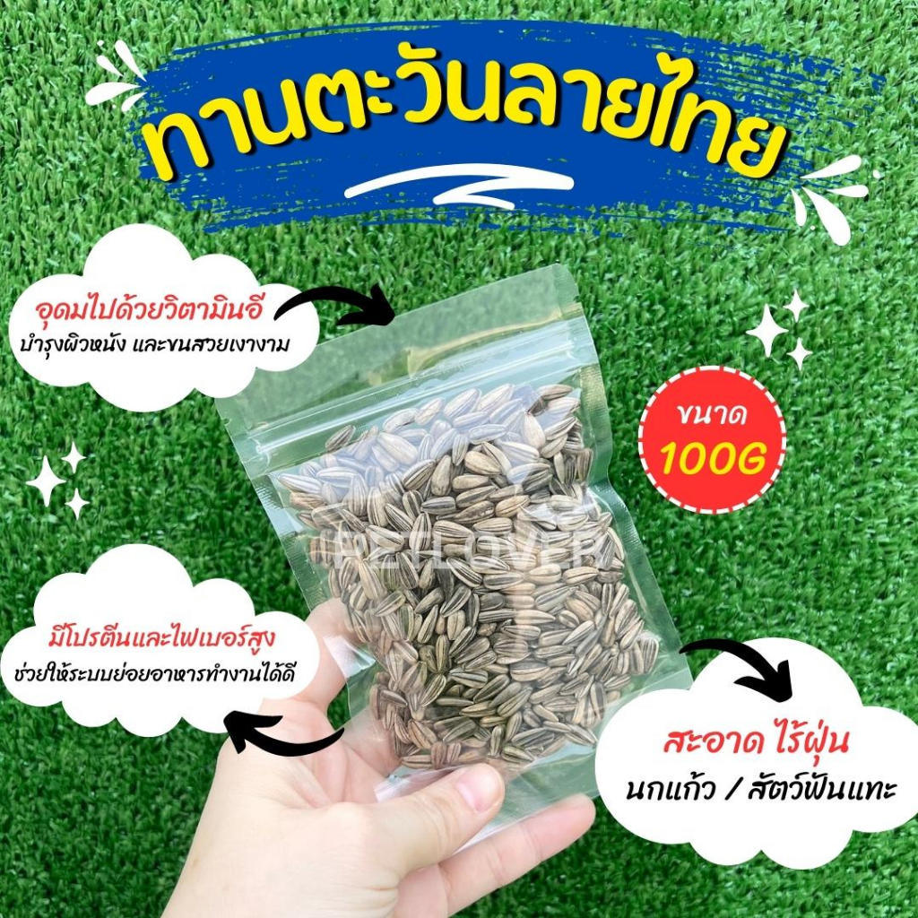 ทานตะวันฮังการี ลายนอก เกรดA เม็ดเล็ก อาหารนกแก้ว และสัตว์ฟันแทะ สะอาด ร่อนฝุ่น (แบ่งขาย 500G / 1KG)