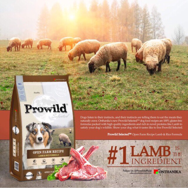Prowild โปรไวลด์ อาหารสุนัข ขนาด15 กิโล สำหรับสุนัขทุกวัย-ทุกสายพันธุ์ 2รสชาติ เหมาะกับสุนัขแพ้ง่าย