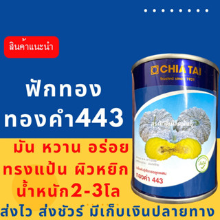 (ของแท้ ส่งไว) ฟักทอง ทองคำ443 100 กรัม