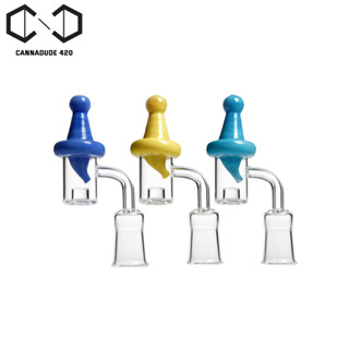 Small Cup / Adapter บ้องแก้ว Quartz banger with carb cab แจกันแก้ว QN31