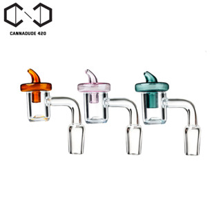 Small Cup / Adapter บ้องแก้ว Quartz banger with color cap 22mm แจกันแก้ว 14 mm QN82