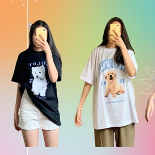 ถูกที่สุด เสื้อยืดoversize ลายน้องหมาน้องแมวลายเยอะมากราคาถูก เสื้อยืด cottonเสื้อยืดคอกลมเสื้อยืดลายสกรีนน้องหมาน้องแมว