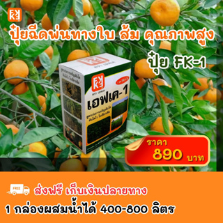 ส้ม โตไว ใบเขียว ผลใหญ่ ผลผลิตดี ฉีดพ่นปุ๋ย FK-1 ต้นทุนต่อไร่ถูกกว่าปุ๋ยเม็ด 4เท่า เพิ่มผลผลิตสูงสุด 20เปอร์เซ็นต์