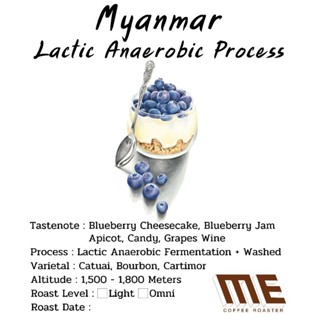 เมล็ดกาแฟ Myanmar Lactic Anaerobic process "Blueberry"