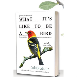 บินไปได้อย่างนก What it’s like to be a bird