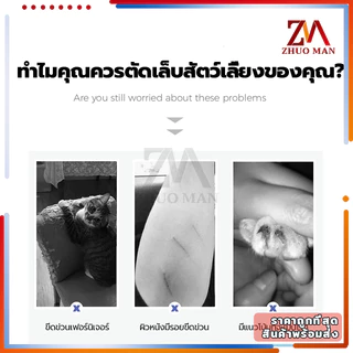 ตัดเล็บแมว กรรไกรตัดเล็บสัตว์เลี้ยง พร้อมตะไบ ตัดเล็บสุนัข ที่ตัดเล็บแมว มีให้เลือก 2 ขนาด ใช้ได้ทั้งน้องแมวและน้องหมา