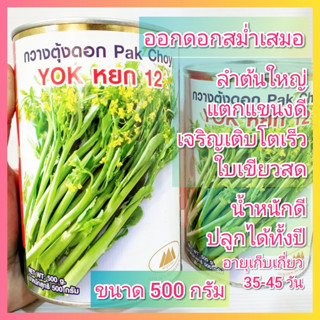 เมล็ดพันธุ์กวางตุ้งดอก หยก 12 ตราภูเขาทอง ขนาด 500 กรัม กวางตุ้งดอก หยก12 กวางตุ้ง