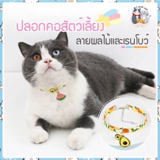 I&amp;CAT ปลอกคอสัตว์เลี้ยง ขนาด 25 cm.ปลอกคอแมวลายผลไม้ มีสายโซ่ห้อย มีลูกกระดื่ง  ปลอกคอสวยงาม ปลอกคอน้องแมวลายน่ารัก