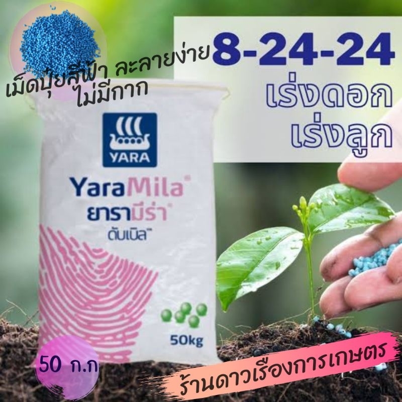 ปุ๋ย สูตร 8-24-24 ยารามีร่า ดับเบิล ยกกระสอบ 50 ก.ก. เป็นปุ๋ยเม็ดสีฟ้า ละลายง่าย ไม่มีกาก สูตรเรียกด