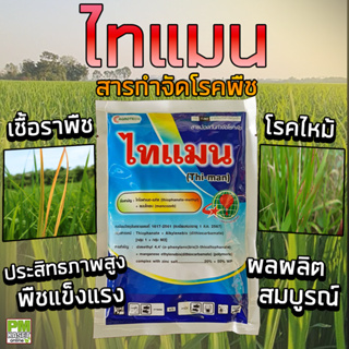 ไทแมน Thi-man สารป้องกันกำจัดโรคพืช โรคเชื้อรา กาบใบแห้ง ใบจุด ขนาด 100 กรัม