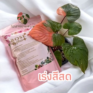 Rose Plus+ ออแกนิค Plant food สารอาหารครบจบในถุงเดียว