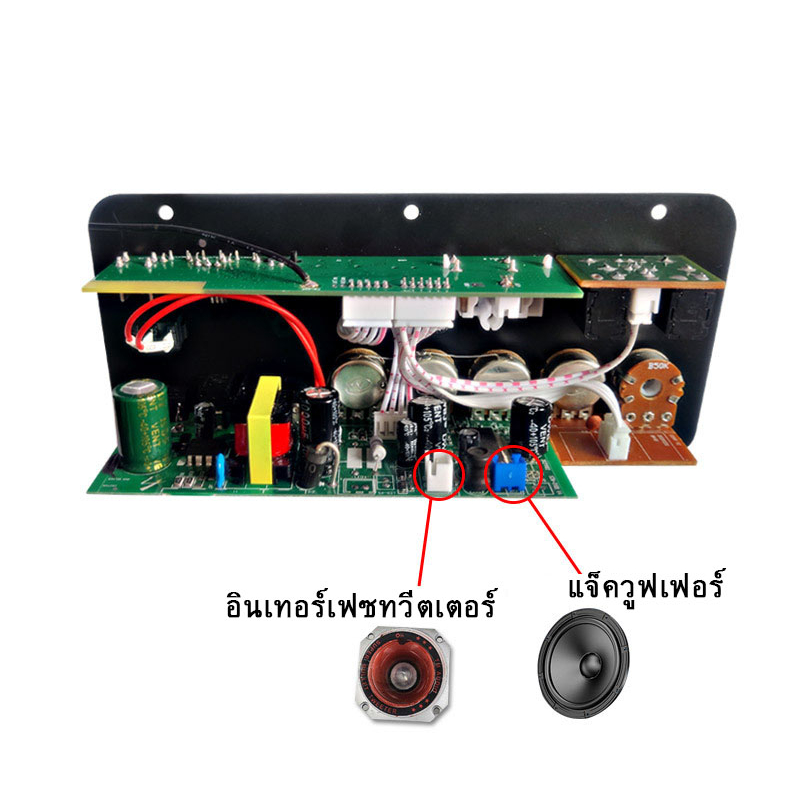 รูปภาพ 3