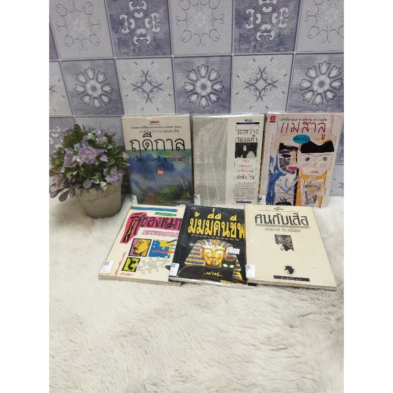 ฤดูกาลp4436 ระหว่างรอยเท้าp4437 แม่สาลูp4438 คนกับเสือp4439 มัมมี่p4440 สีของหมาp4441